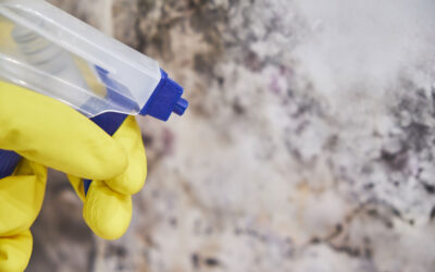 Prevent Mold and Mildew with Pro House Cleaning Services